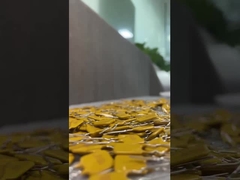 Genezen Zelf het Terugstellen van PPTC Zekering, Resettable de Zekeringsvlam van Polyswitch - vertrager