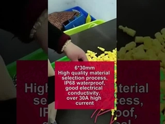 Geel Kabelboom Zekeringkast Houder Waterdicht 30A 250V 5*20mm 6*30mm Glas keramische Buis