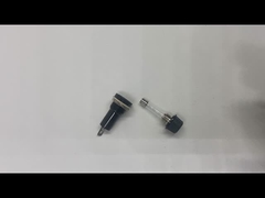 Verstuiver 6x30mm 10A 250V