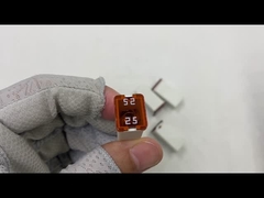 Automobielbladzekeringen