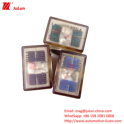 2-positie terminal 60A-300A Fusehouder Single Stud M8 Compact Rated Battery Fuse