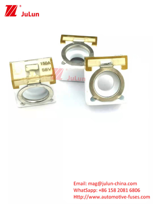 Batterij 2-terminal veiligheidsbeveiliger Single Stud M8 Compact Nominale batterij veiligheidsbeveiliging 60A-300A