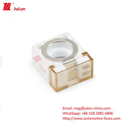 RV Vrachtwagen CFBAR1-250CS Zekeringhouder 1 Verdeelleiding SBM-C