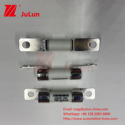 Bescherming EV Elektrovoertuig Fuse Power Conversion 15A 30A 25A 750VDC 10x38 EV FUSE