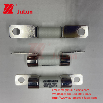 DC750V 10A-100A Boxed EV Fuse voor elektrische voertuigen Traction System Energy Storage 25A 30A 50A EV FUSE