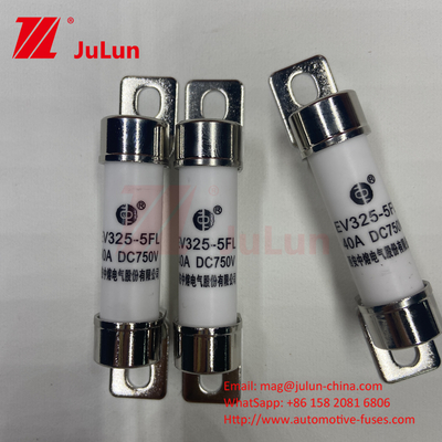 750VDC Energieopslag 10A 25A 30A 50A EV FUS Automotive Ceramic Copper Electric Vehicle Fuse Voor energieopslag DC750V