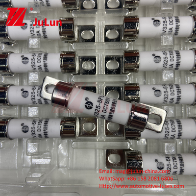 750VDC Energieopslag 10A 25A 30A 50A EV FUS Automotive Ceramic Copper Electric Vehicle Fuse Voor energieopslag DC750V