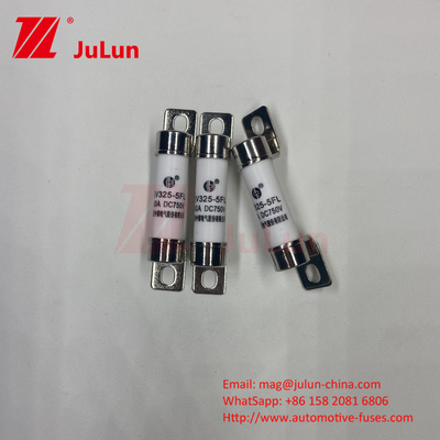 EV Fuse Boxed Embedded voor elektrische voertuig traction systemen 750VDC 25A 30A 40A 50A 14*51 Ues Voor EV325 Car Charger