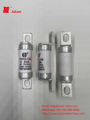750VDC Keramische automobielfussen RS308 HB 4G Hoge temperatuur 10A 20A 25A 30A 40A 50A 63A 80A 100A 750VDC FUSS
