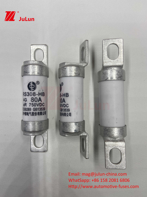 EV elektrische voertuig fusie voor DC750V fusie DC750V 10A 15A 20A 25A 30A voor automobieltoepassingen RS308