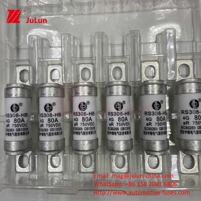 EV elektrische voertuig fusie voor DC750V fusie DC750V 10A 15A 20A 25A 30A voor automobieltoepassingen RS308