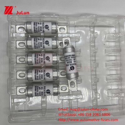 Elektrische voertuigbeschermer RS308 DC750V 10A 15A 20A met uitstekende trillingsbestendigheid 63A