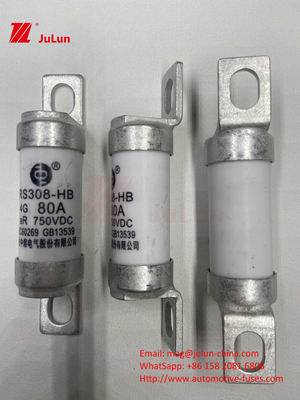 Elektrische voertuigbeschermer RS308 DC750V 10A 15A 20A met uitstekende trillingsbestendigheid 63A