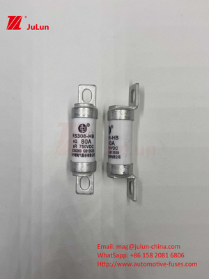 EV RS308 Fuse Mechanical Shock 25A 30A 40A 50A Keramisch koper Nominale Spanning DC750V Home Ev Charger Voor elektrische auto