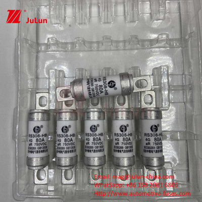EV RS308 Fuse Mechanical Shock 25A 30A 40A 50A Keramisch koper Nominale Spanning DC750V Home Ev Charger Voor elektrische auto