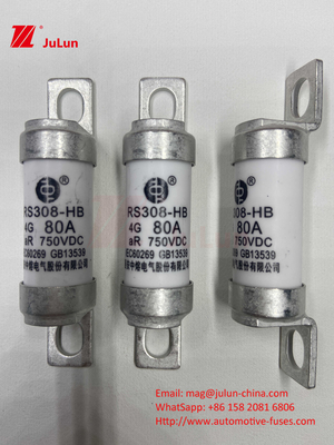 EV RS308 Fuse Mechanical Shock 25A 30A 40A 50A Keramisch koper Nominale Spanning DC750V Home Ev Charger Voor elektrische auto