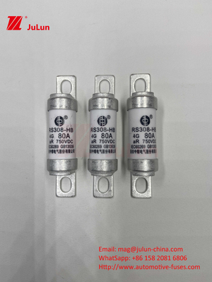 M6 Bolted EV Fuse 750V 80A10A 30A 50A 750VDC EV Fuse