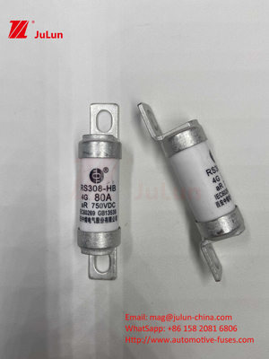 M6 Bolted EV Fuse 750V 80A10A 30A 50A 750VDC EV Fuse