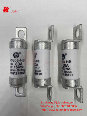 M6 Bolted EV Fuse 750V 80A10A 30A 50A 750VDC EV Fuse