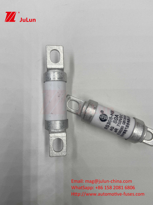 Keramische buis 20x46mm 15A 40A 50A RS308 HB G FUSE 750VDC EV325 100A