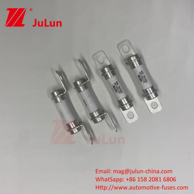 Zuiver elektrisch voertuig 5A 10A 15A 20A 30A Krachtsysteem Hybride elektrisch voertuig Fuse 500VDC