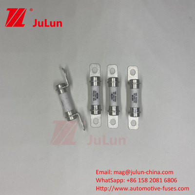 Elektrische voertuigbeschermer 500VDC Bolt M6 Bolt 50A Uitstekende DC breekcapaciteit Beschermer