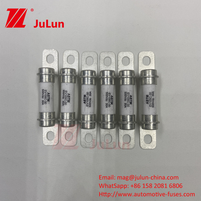 Automobieltoepassing Elektrovoertuig veiligheidsbeveiliging Hybride auto 15A 500VDC Superior DC Breaking Capacity veiligheidsbeveiliging