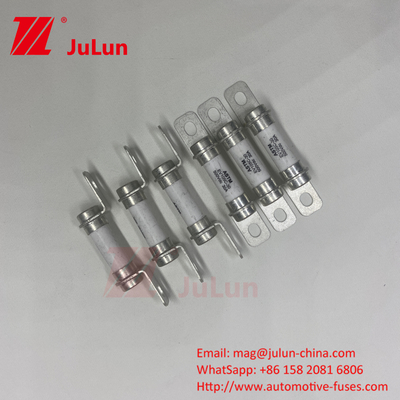 Fuse Excellent DC Breaking Capacity 20A500VDC Puur elektrisch voertuig