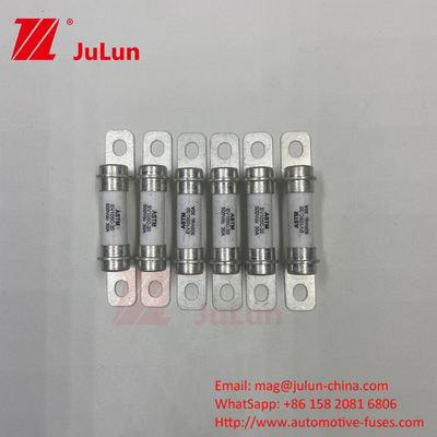 Fuse Excellent DC Breaking Capacity 20A500VDC Puur elektrisch voertuig