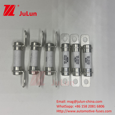Fuse Excellent DC Breaking Capacity 20A500VDC Puur elektrisch voertuig