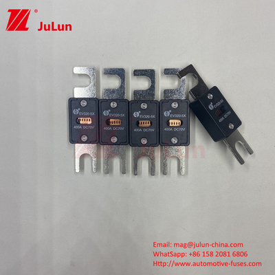 Elektrische voertuig EV320-5X-500A-N Zwarte koper auto blade zekeringen 100A-150A