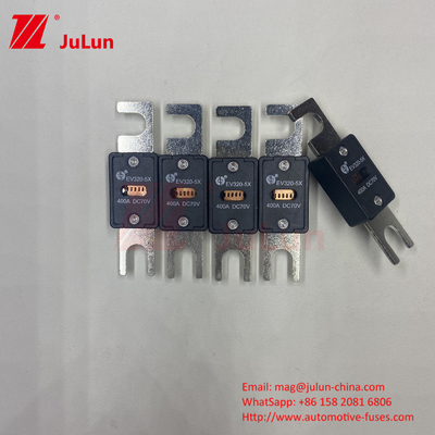 EV320-5C-100A-N 70VDC Schroef in M6 M8 Montage Type Auto Blade Fuses 80-500 Ampere Stabiliteit handhaven