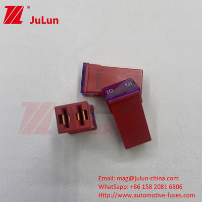 Littelfuse Jcase 20A 25A 30A 40A 50A 60amp Cartridge Fuse voor auto's vrachtwagens SUV's Offroad-