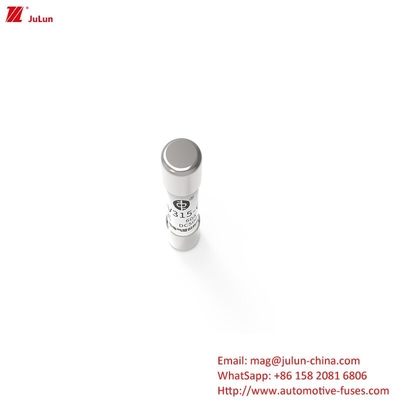 500V EV-sluiting 10A-60A DC Circular Tube Fuse EV315-C-3E OEM