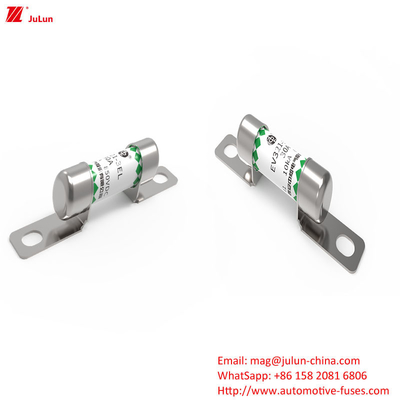 EV321-3EL 30A elektrische voertuigbeschermer met OEM-logobeveiliging en prestaties in de verpakkingsmethode