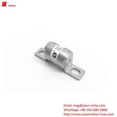 Elektrische lont voor nieuwe energievoertuigen 16A 20A 25A 32A 35A 40A 50A 63A 180A 250V 30KA OEM-logo