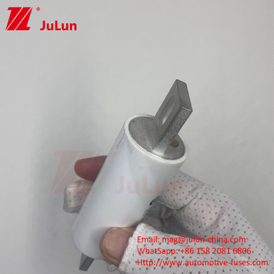RS309-MM-EV300A Medium Fusing AC 1000VDC 1000VAC in hoogspanningssystemen voor elektrische voertuigen