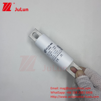 RS309-MM-EV500A1000VDC 50KA 1000VAC 100KA Bescherming van veiligheidsbouten