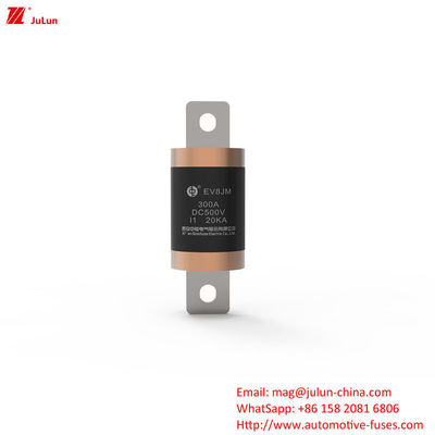 300A EV Charger Adapter Fuse Compatibel met SINOFUSE Heavy Duty Bolt Screw