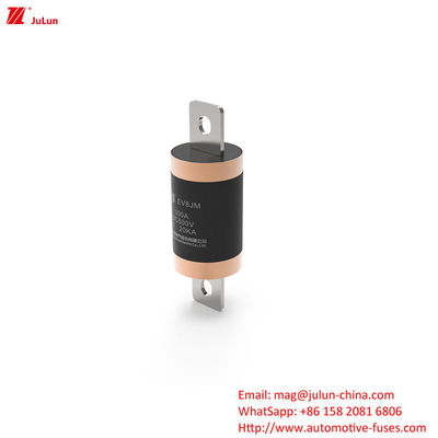 300A EV Charger Adapter Fuse Compatibel met SINOFUSE Heavy Duty Bolt Screw
