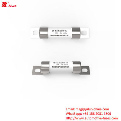 Bolt Schroef Bescherming EV Draagbare EV Charger Fuse Voor Draagbare Oplaadoplossing DC1000V 10A-50A