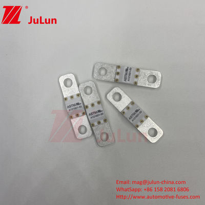 A121601-50A ASTM 125VDC Elektrische voertuigen elektrische bescherming terminal type zekering