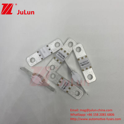 ASTM 300A 125VDC Bolt Screw Fuse A121601 voor de bescherming van elektrische voertuigen