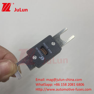 EV320 100A 200A 225A 250A 300A 350A 500A 70VDC Blow 10KA/20KA Breaking Capacity Fuse voor het opladen van elektrische voertuigen