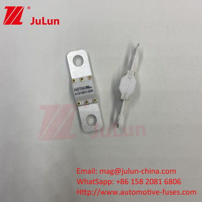 ASTM FUSE 121601 80A 125VDC Elektrische autofuit