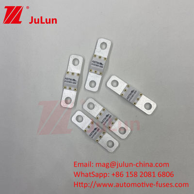 ASTM FUSE 121601 80A 125VDC Elektrische autofuit