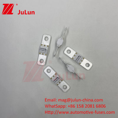 ASTM 100A Ev Charger Adapter Fuse Compatible Ccs Ev ChargerBolt Schroef 125VDC 10KA 20KA