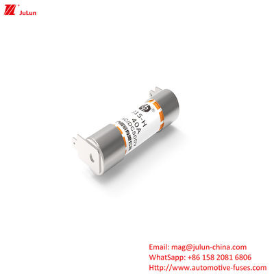 38 mm AC/DC500V Nomenclatuurspanning elektrische voertuigbeschermer met reactie voor EV-oplaadstations