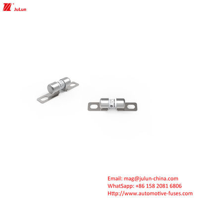 EV Bolt Schroef Elektrisch Voertuig Buis Automotive Fuse 10A-60A