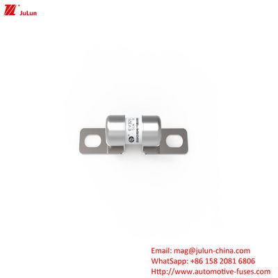 EV Bolt Schroef Elektrisch Voertuig Buis Automotive Fuse 10A-60A